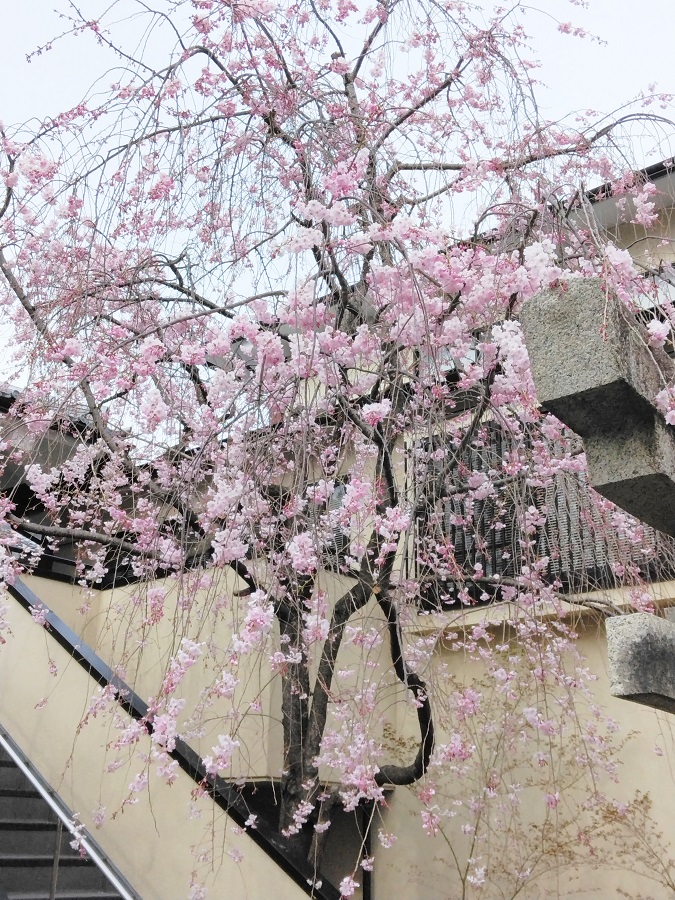 活動場所の外観